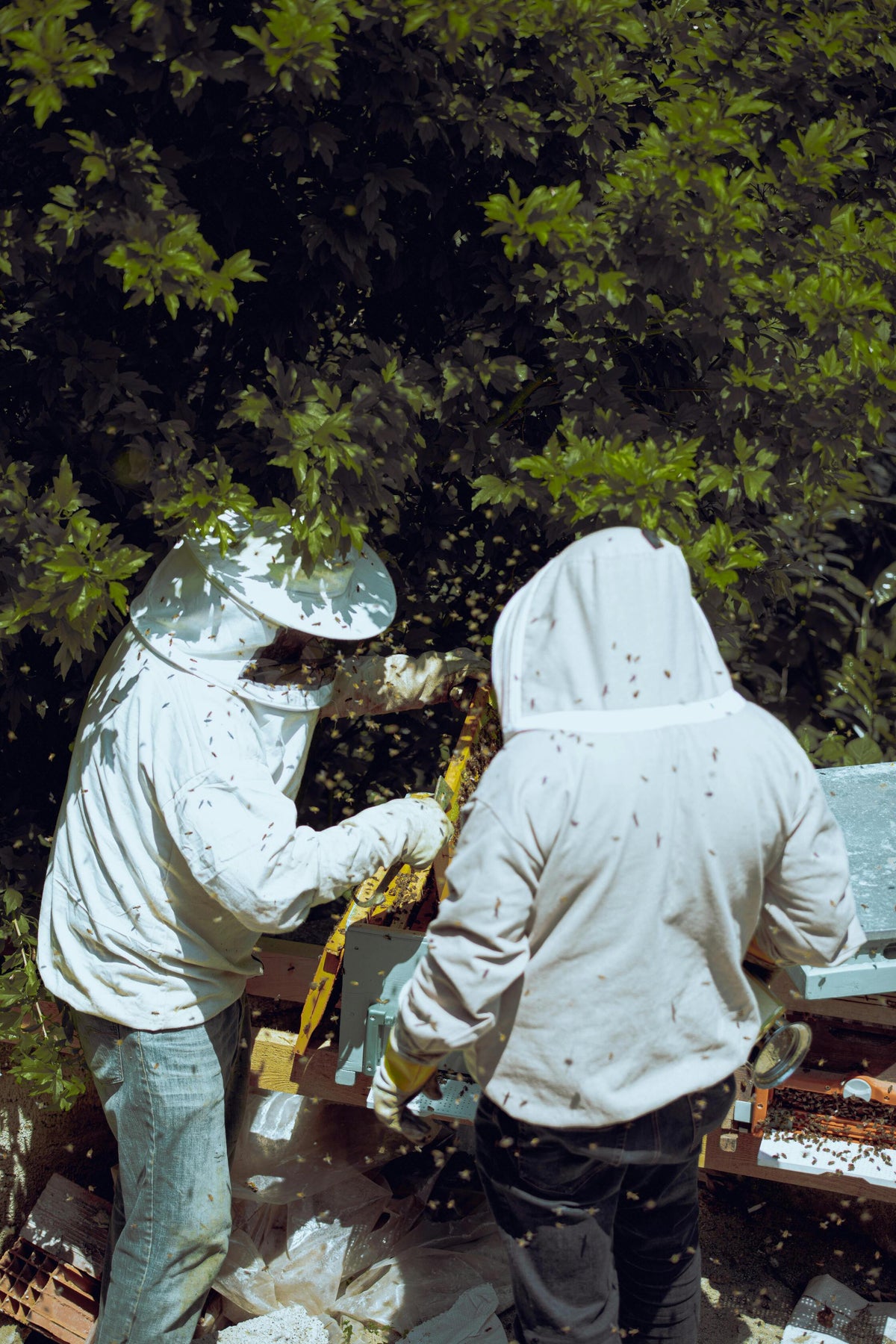 Vêtements d'apiculture