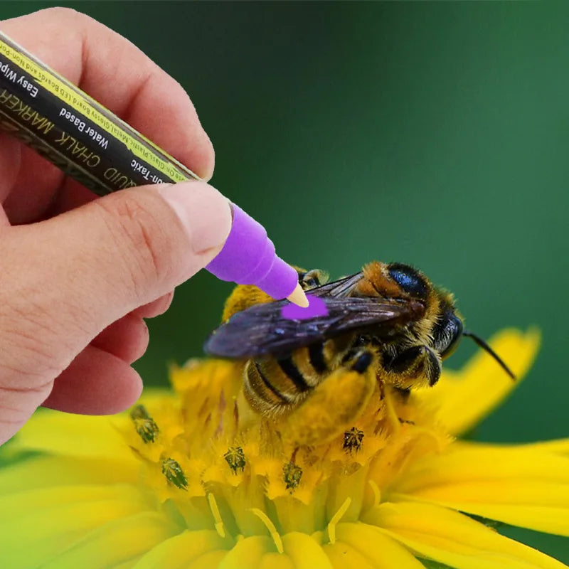 5 pièces 8 pièces/lot marqueur d'abeille LED surligneur