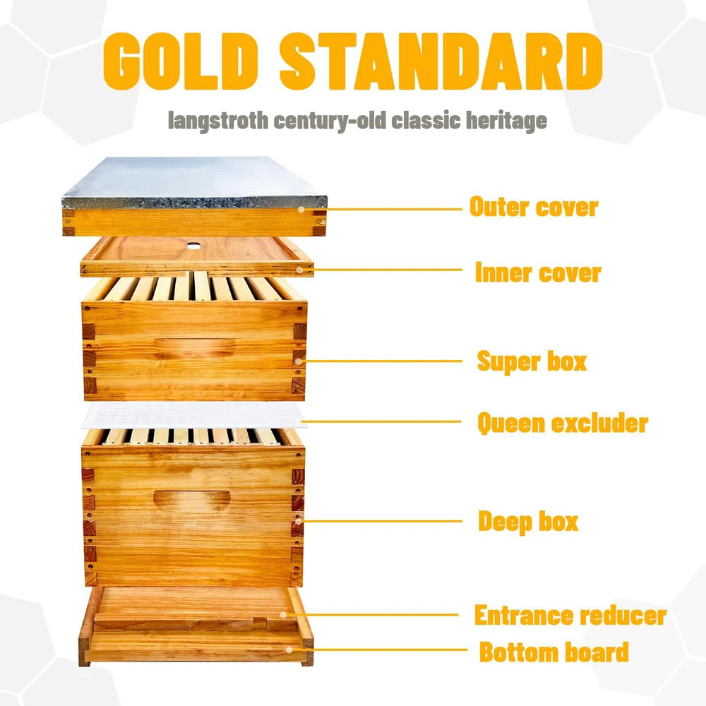 Ruche pour abeilles Langstroth à 10 cadres