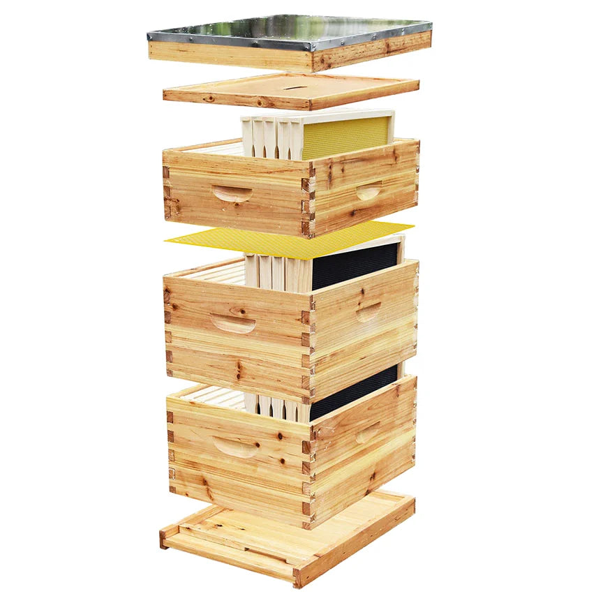 Ruche pour abeilles Langstroth à 10 cadres