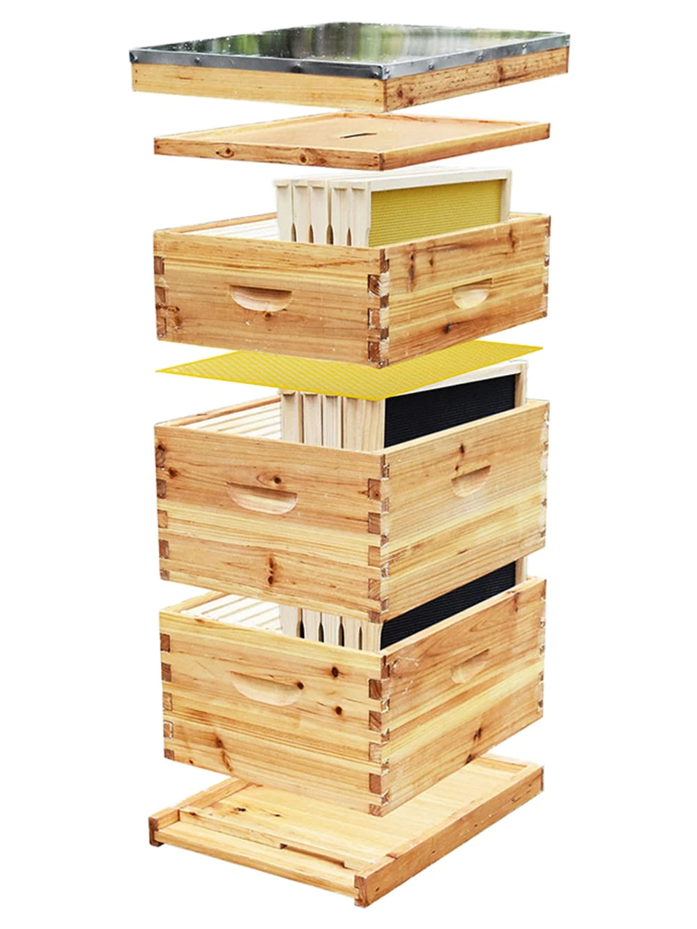 Ruche pour abeilles Langstroth à 10 cadres