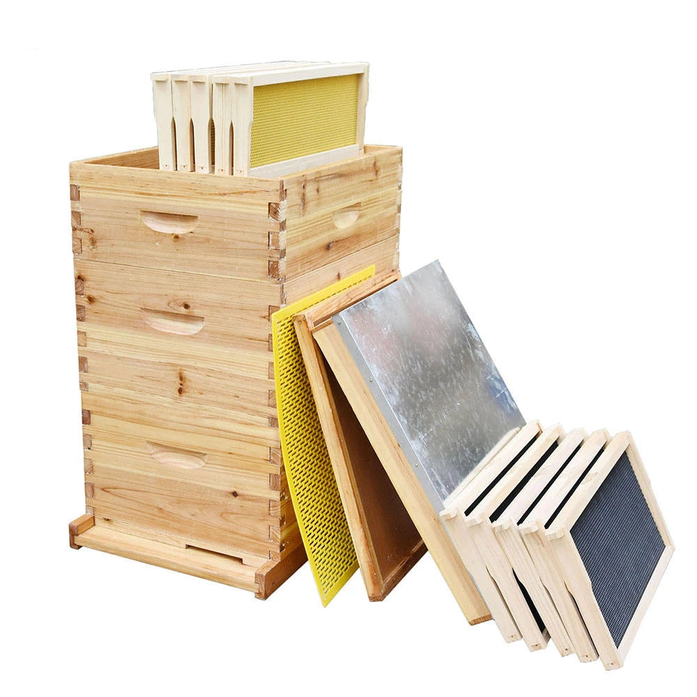 Ruche pour abeilles Langstroth à 10 cadres