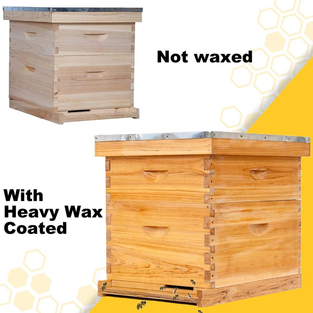 Ruche pour abeilles Langstroth à 10 cadres