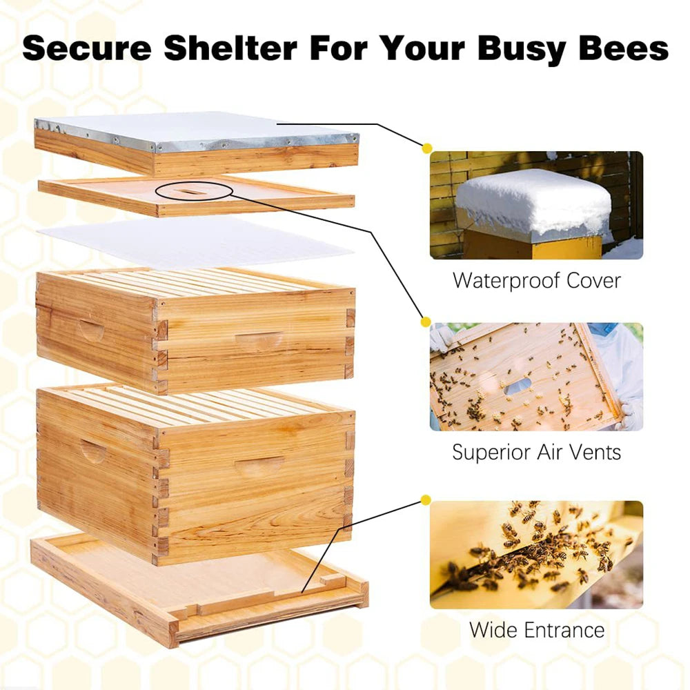 Ruche pour abeilles Langstroth à 10 cadres