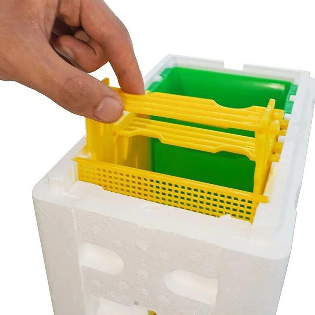 Boîte d'élevage de reines, Apidea