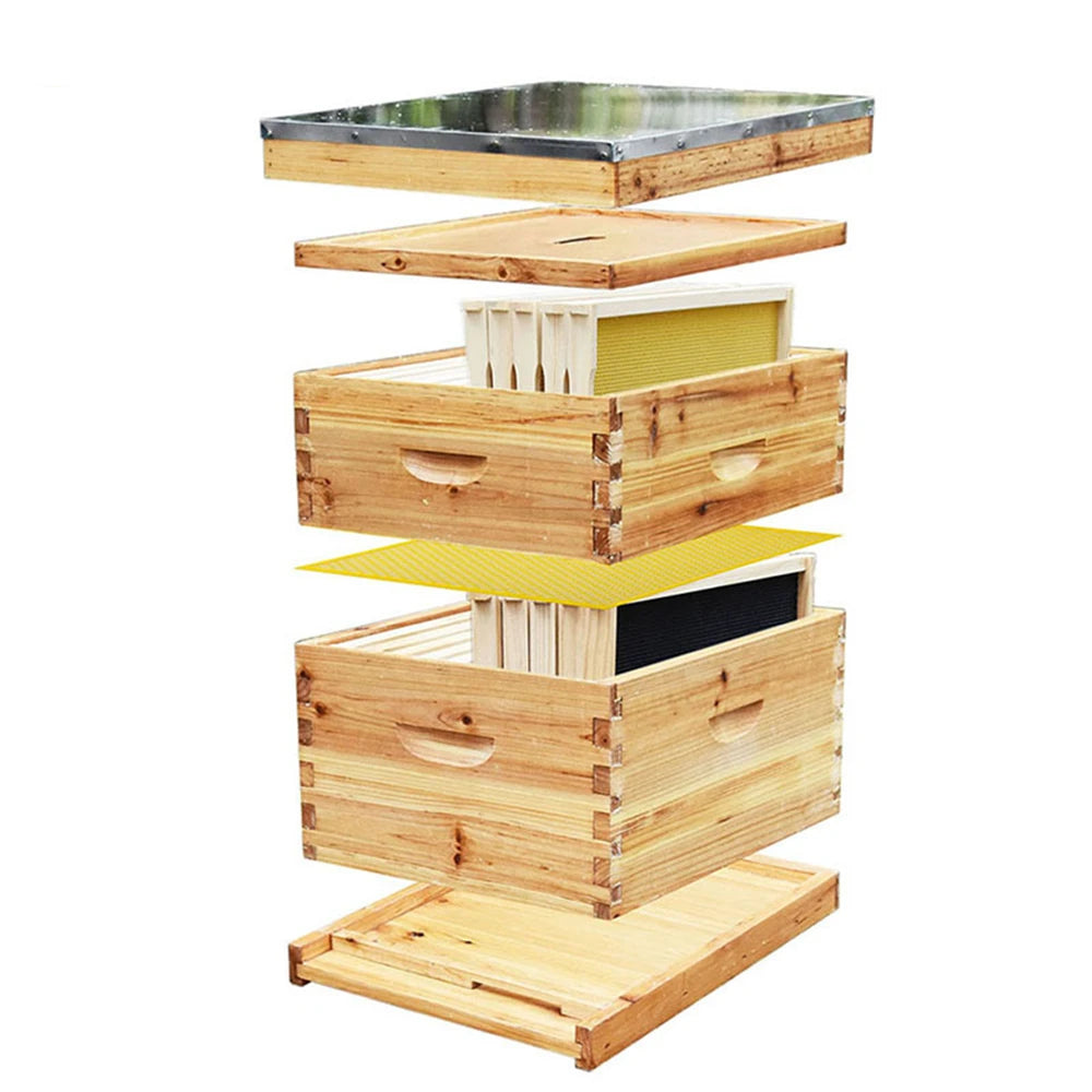 Ruche pour abeilles Langstroth à 10 cadres