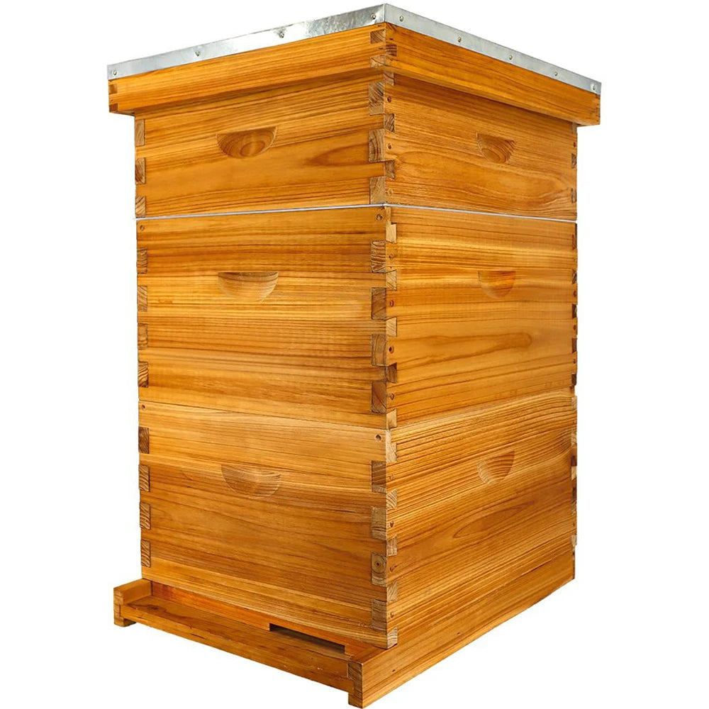 Ruche pour abeilles Langstroth à 10 cadres