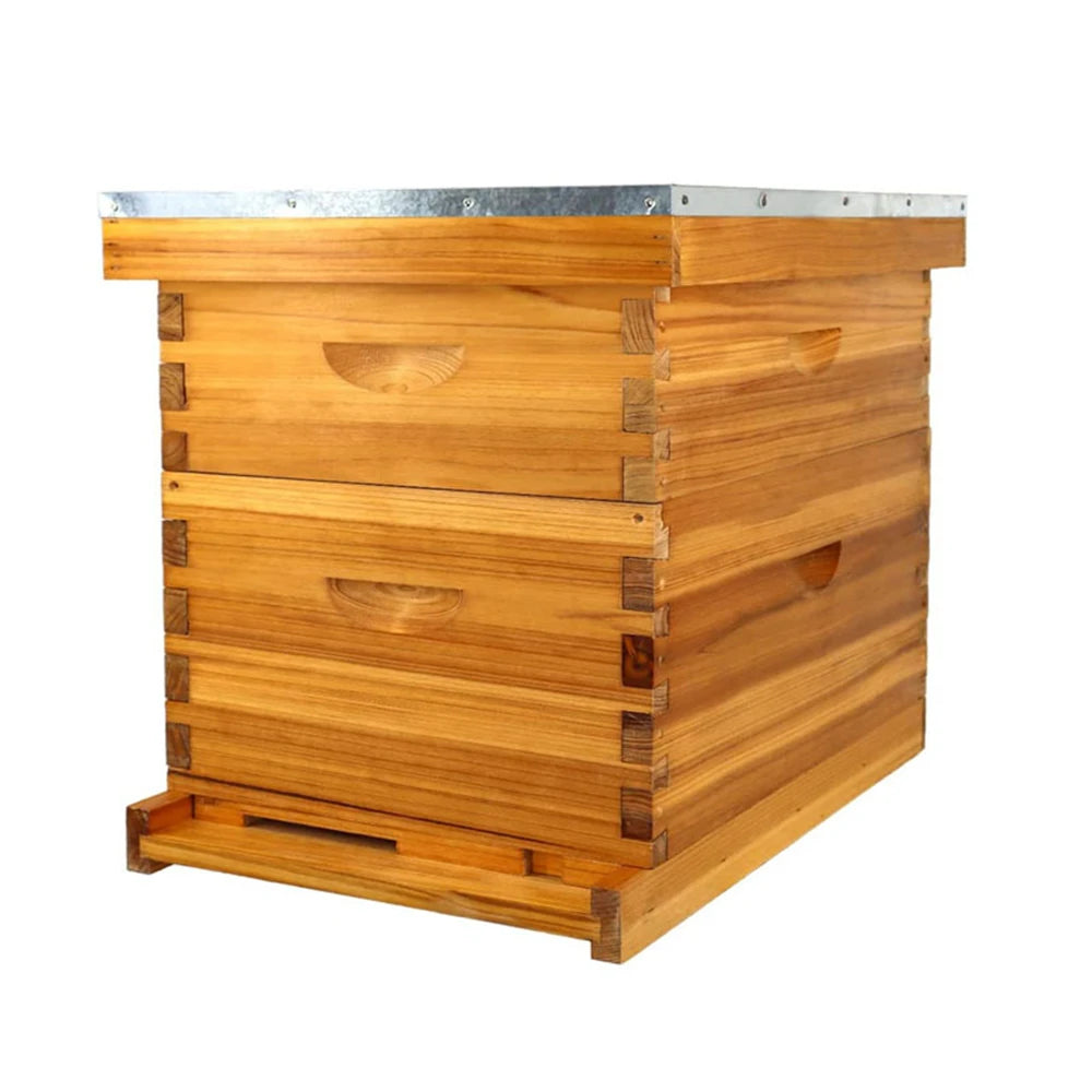 Ruche pour abeilles Langstroth à 10 cadres