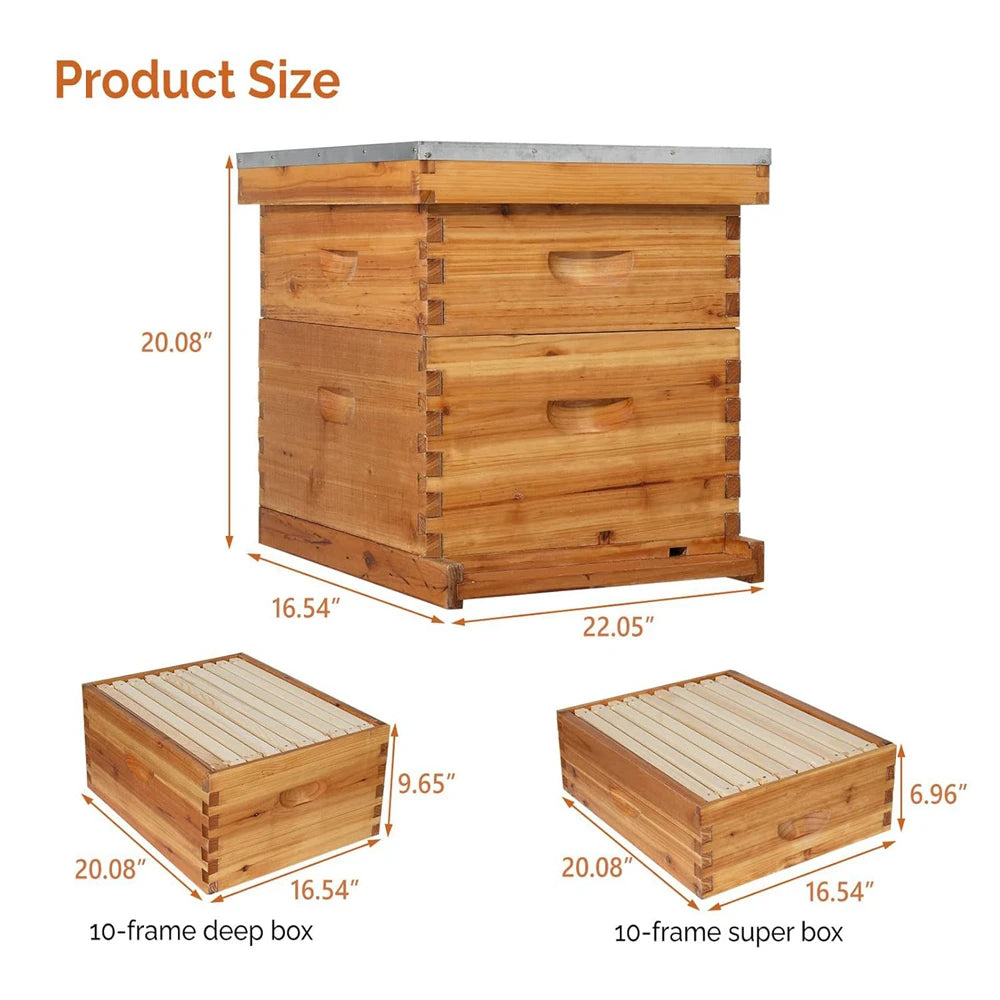 Ruche pour abeilles Langstroth à 10 cadres