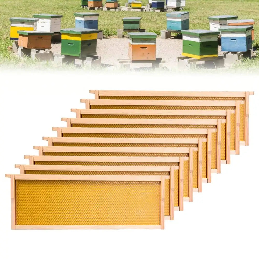 10 pcs cadre assemblé avec plaque de fondation en plastique pour ruche dadant, 483*168 mm.